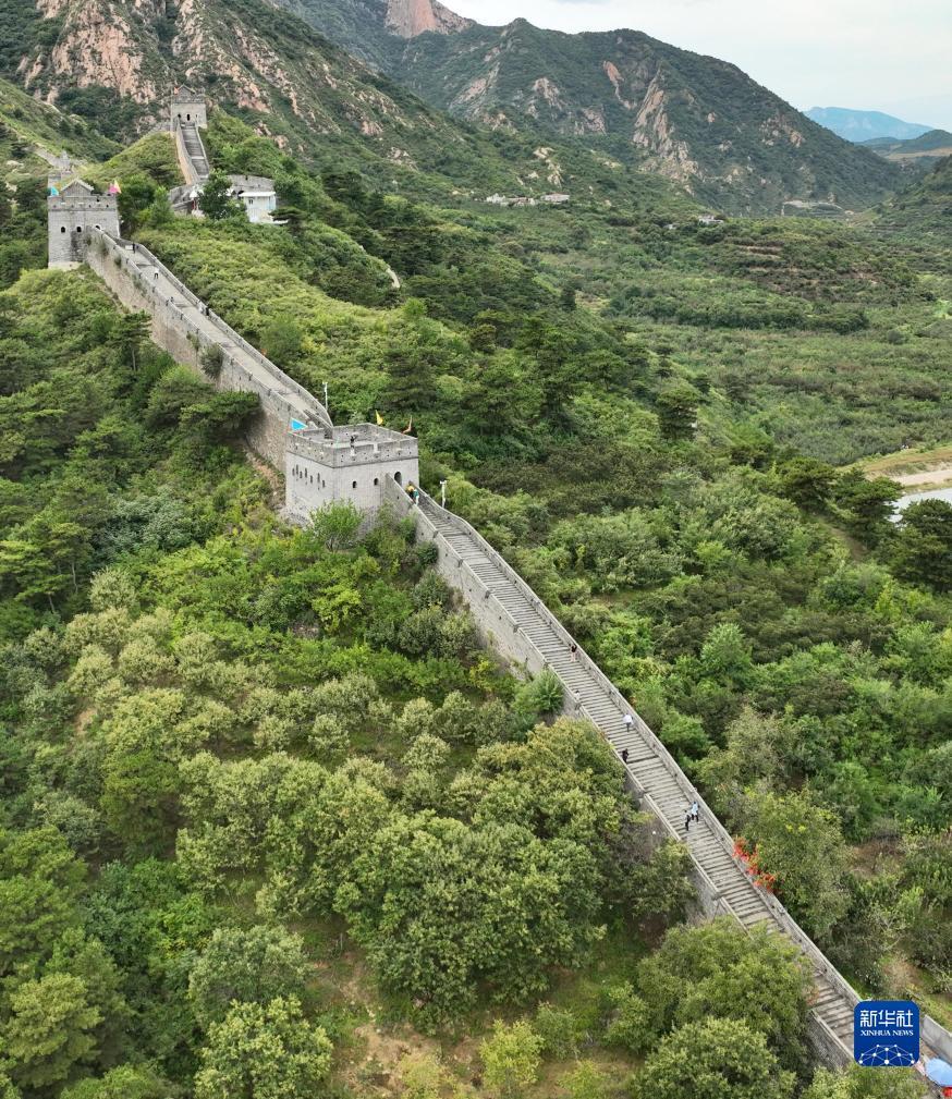 金沙全部网址